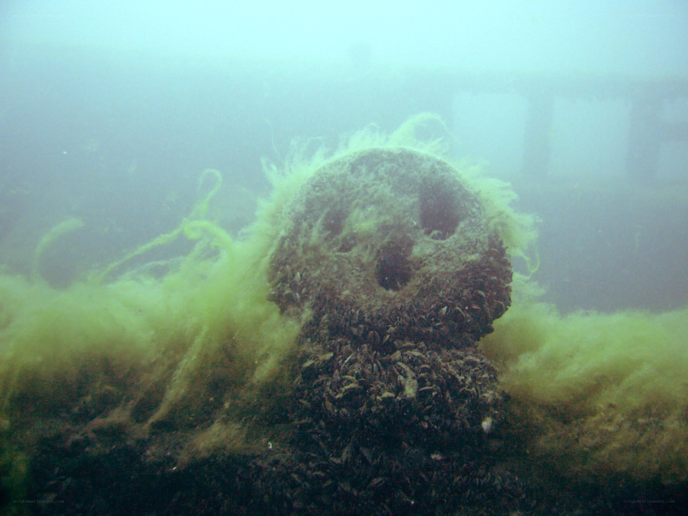 underwater skull sculpture