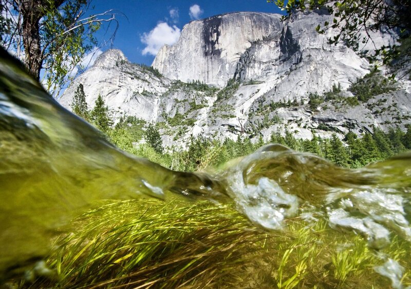 Underwater Stream View