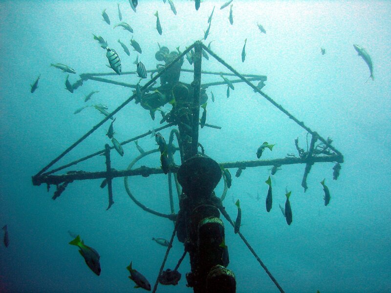 Underwater structure with fish