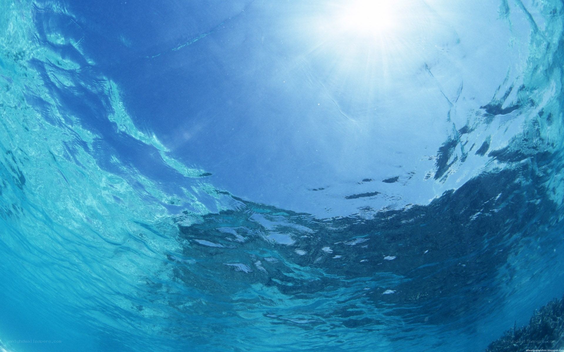 underwater sun rays