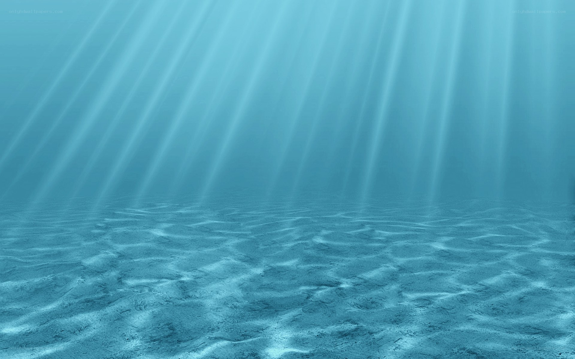 underwater sunlight rays