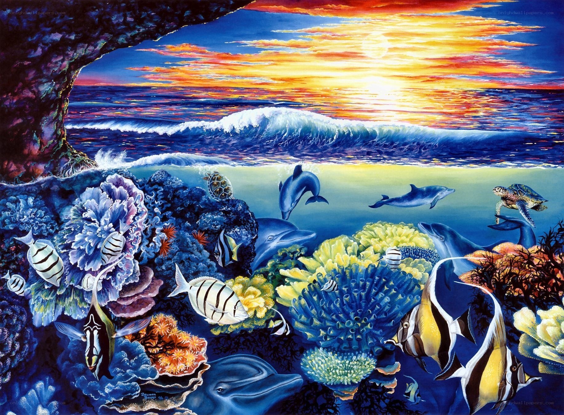 Underwater sunset with dolphins