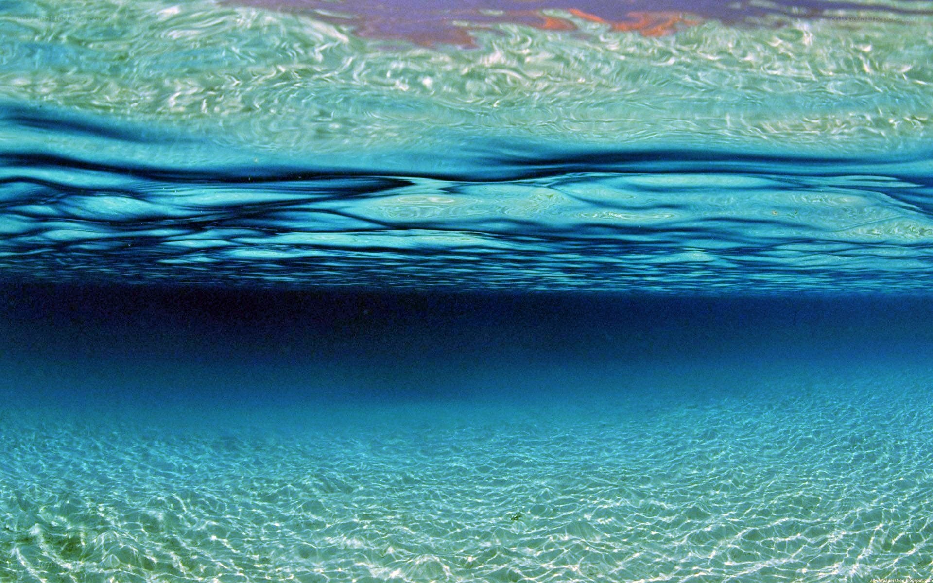 underwater surface view