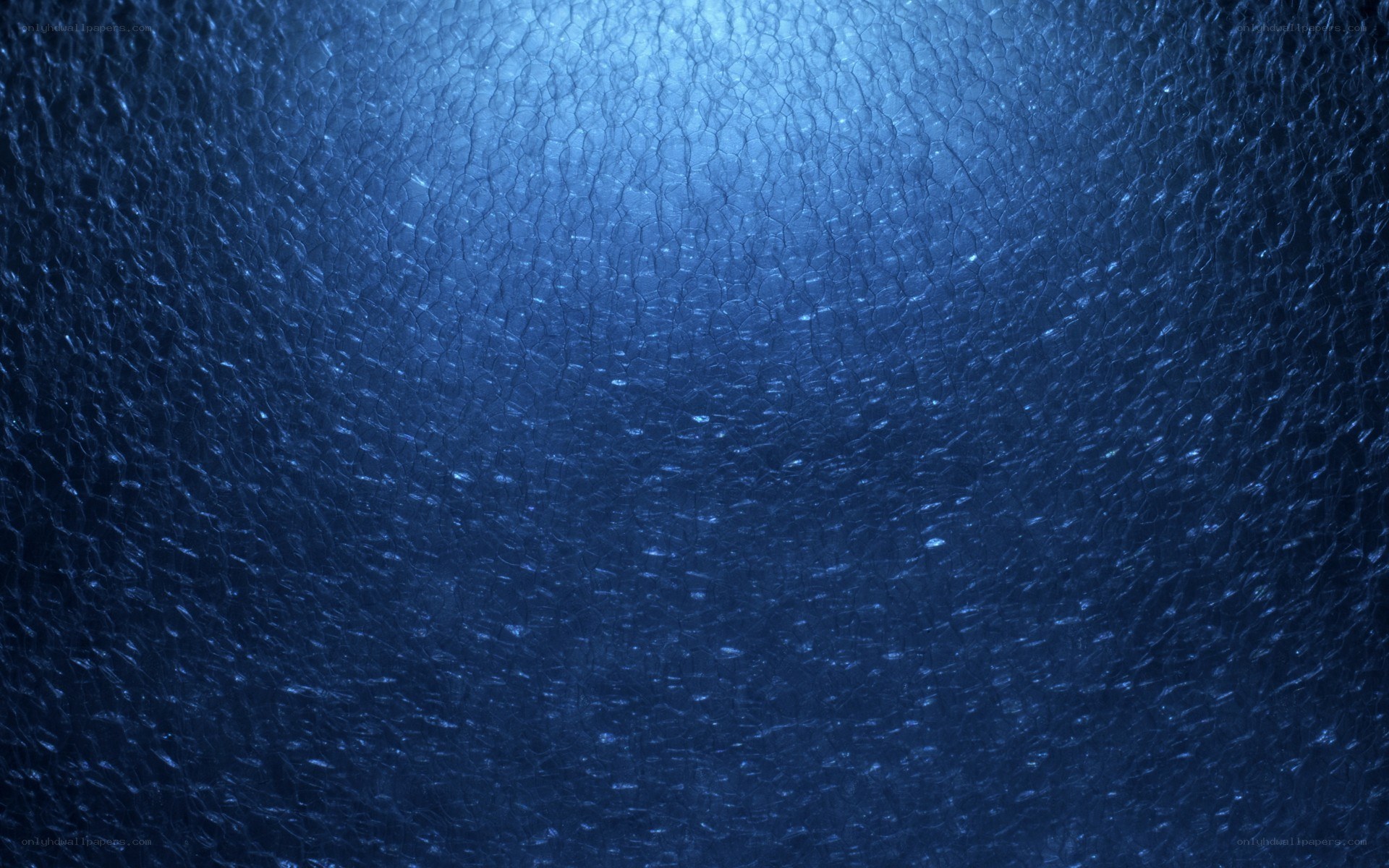 underwater surface view