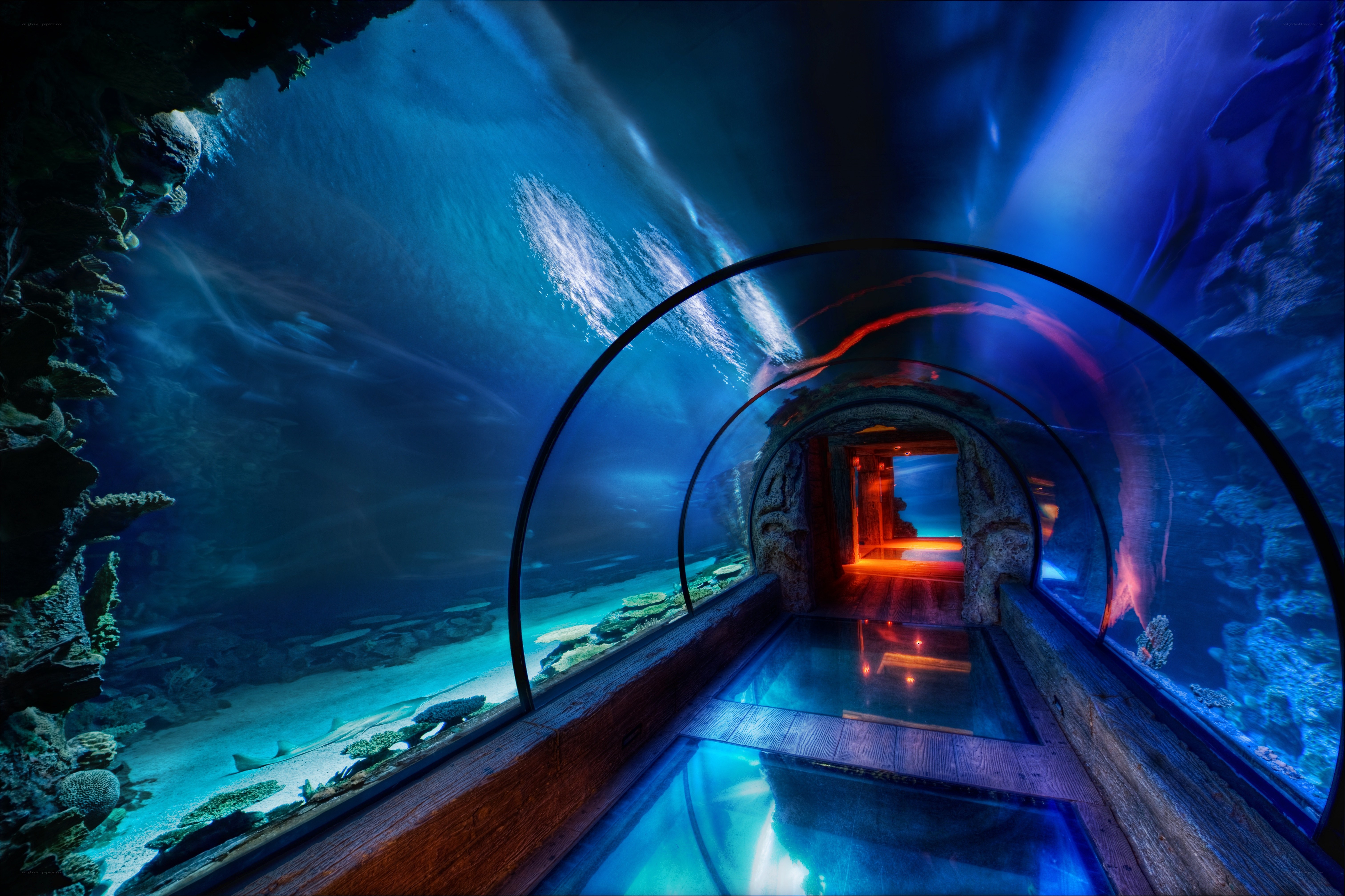 underwater tunnel aquarium