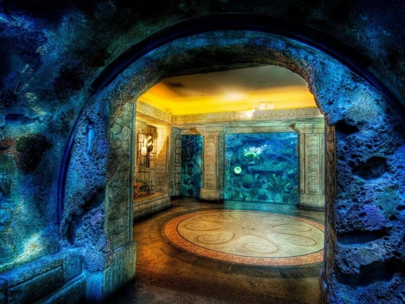 Underwater tunnel aquarium