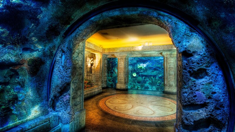 Underwater tunnel aquarium