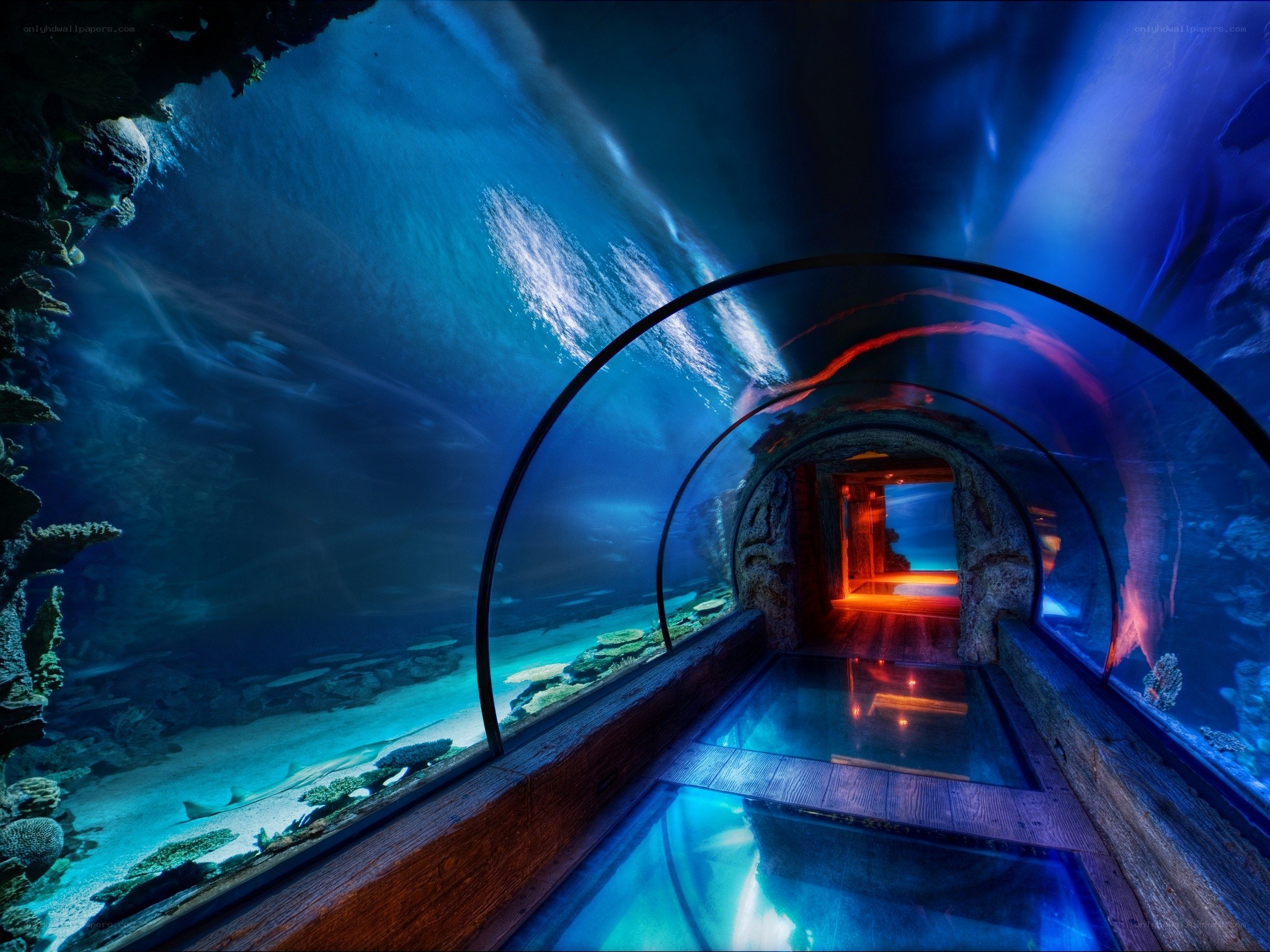 Underwater tunnel aquarium