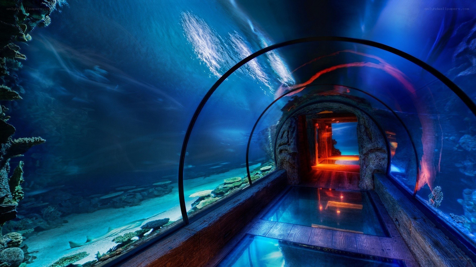 underwater tunnel aquarium