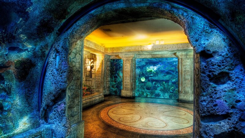 underwater tunnel aquarium