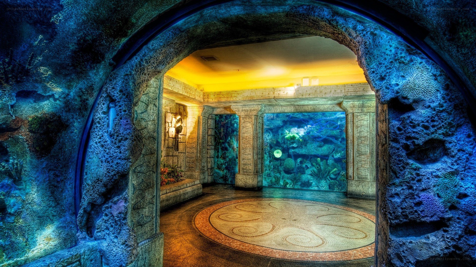 underwater tunnel aquarium