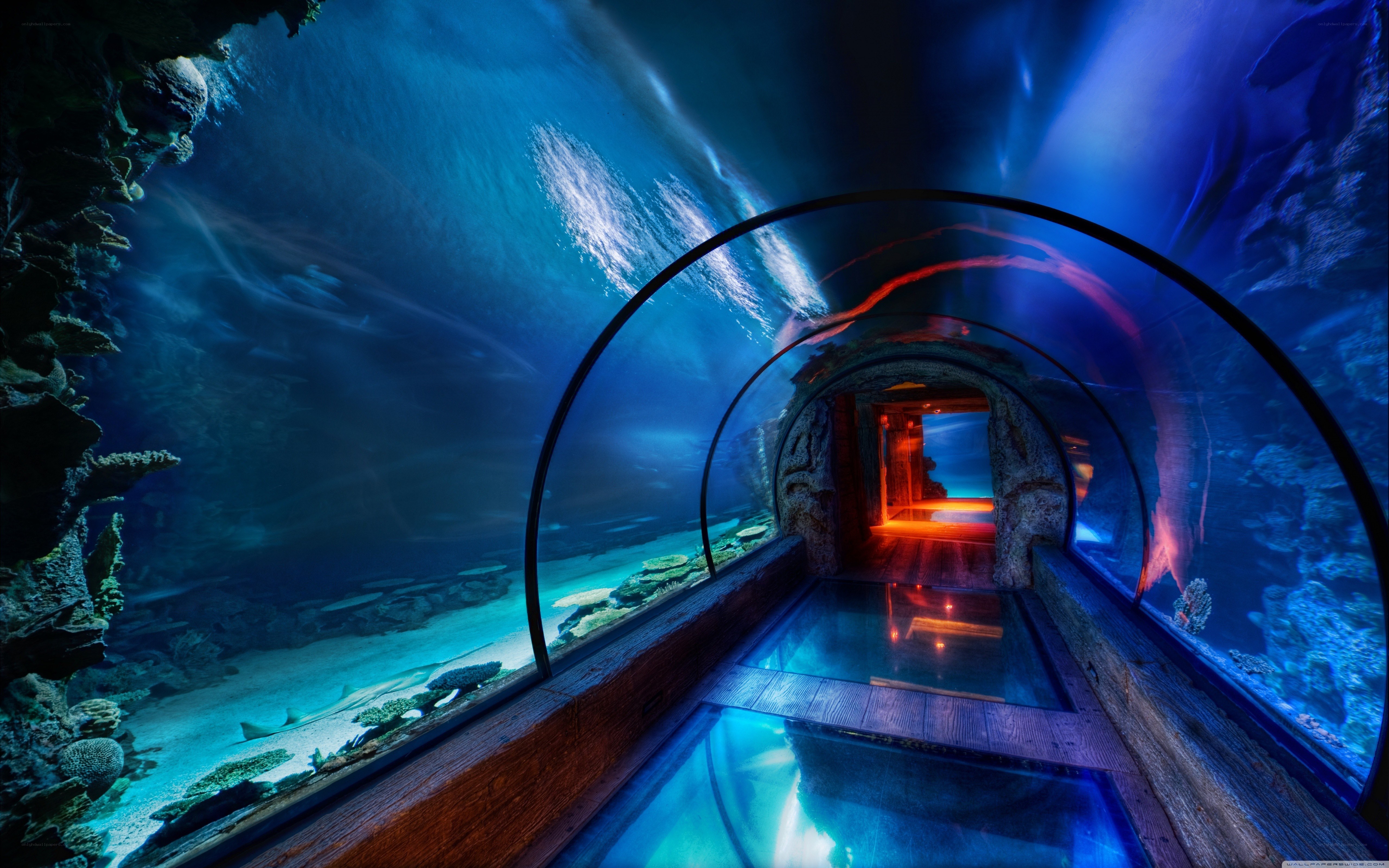underwater tunnel aquarium