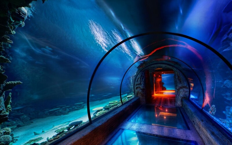 Underwater Tunnel Aquarium — Blue, Dramatic, Photograph