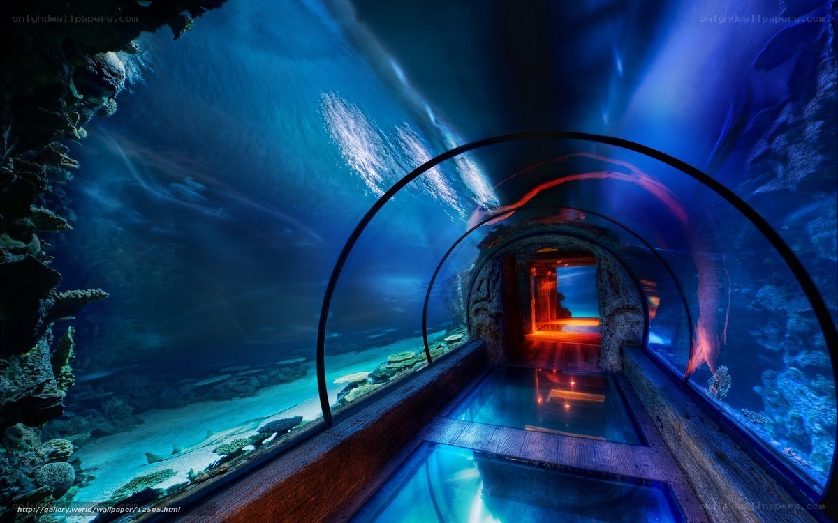 Underwater tunnel aquarium