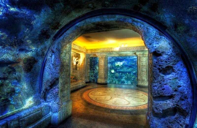 Underwater Tunnel with Aquarium