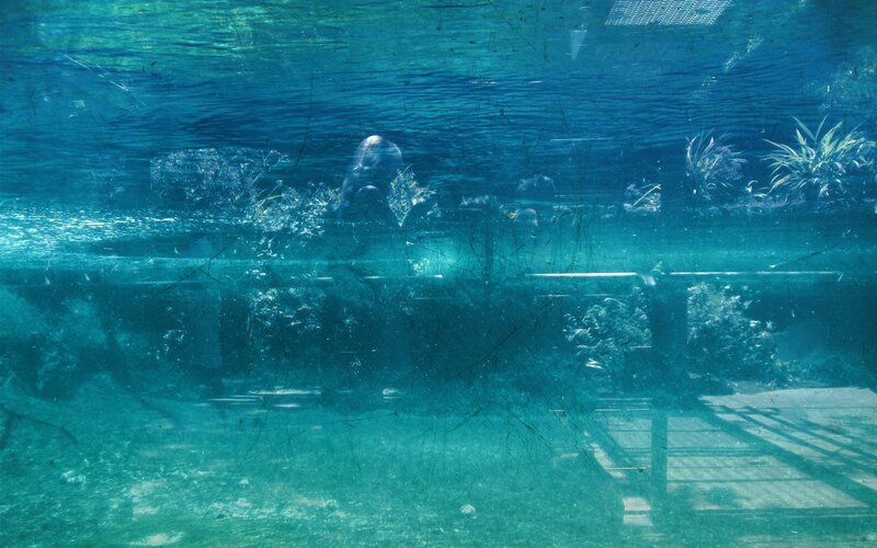 underwater view of a tank