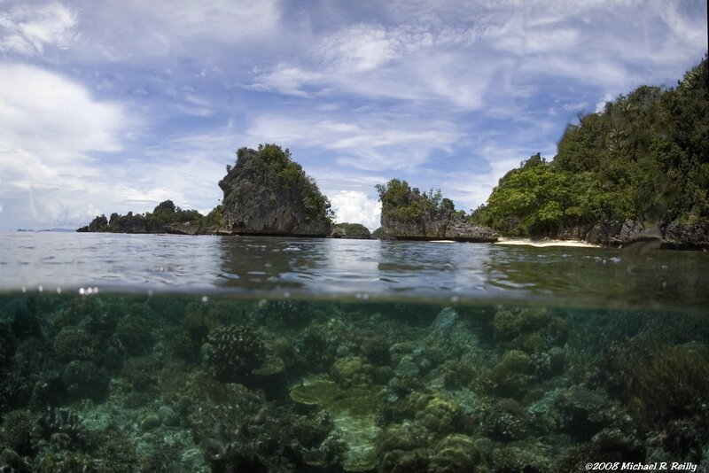 Underwater view of coral reef
