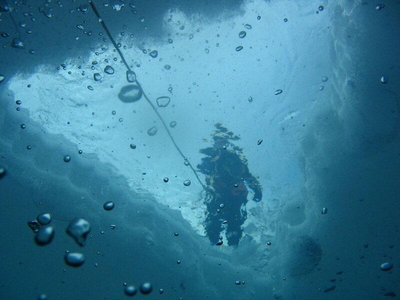 Underwater view of diver