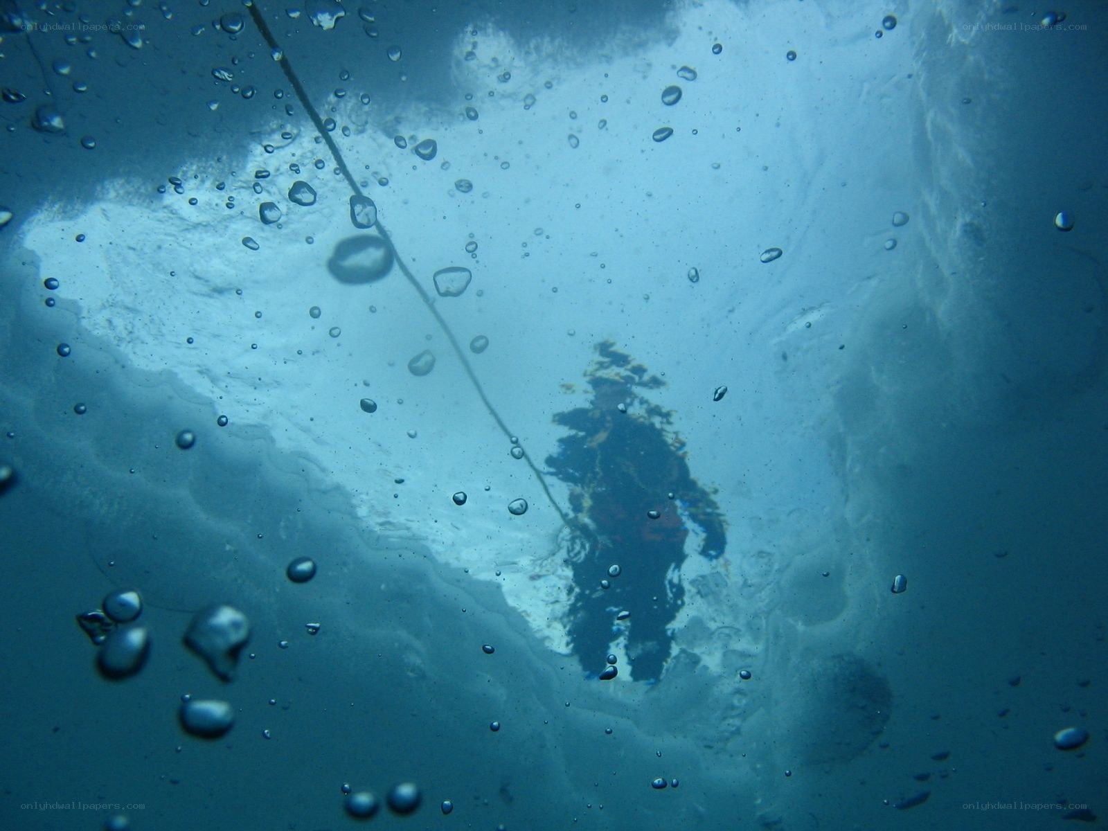 Underwater view of diver
