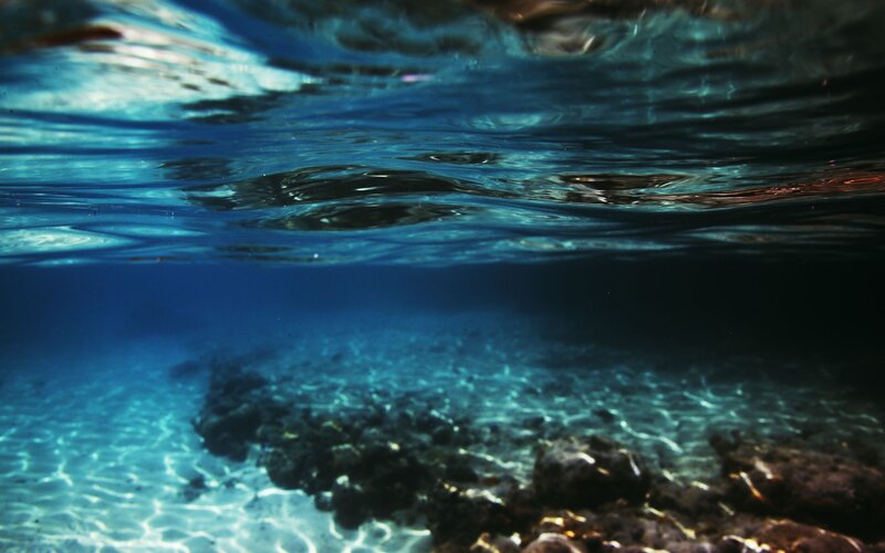 Underwater view of ocean floor