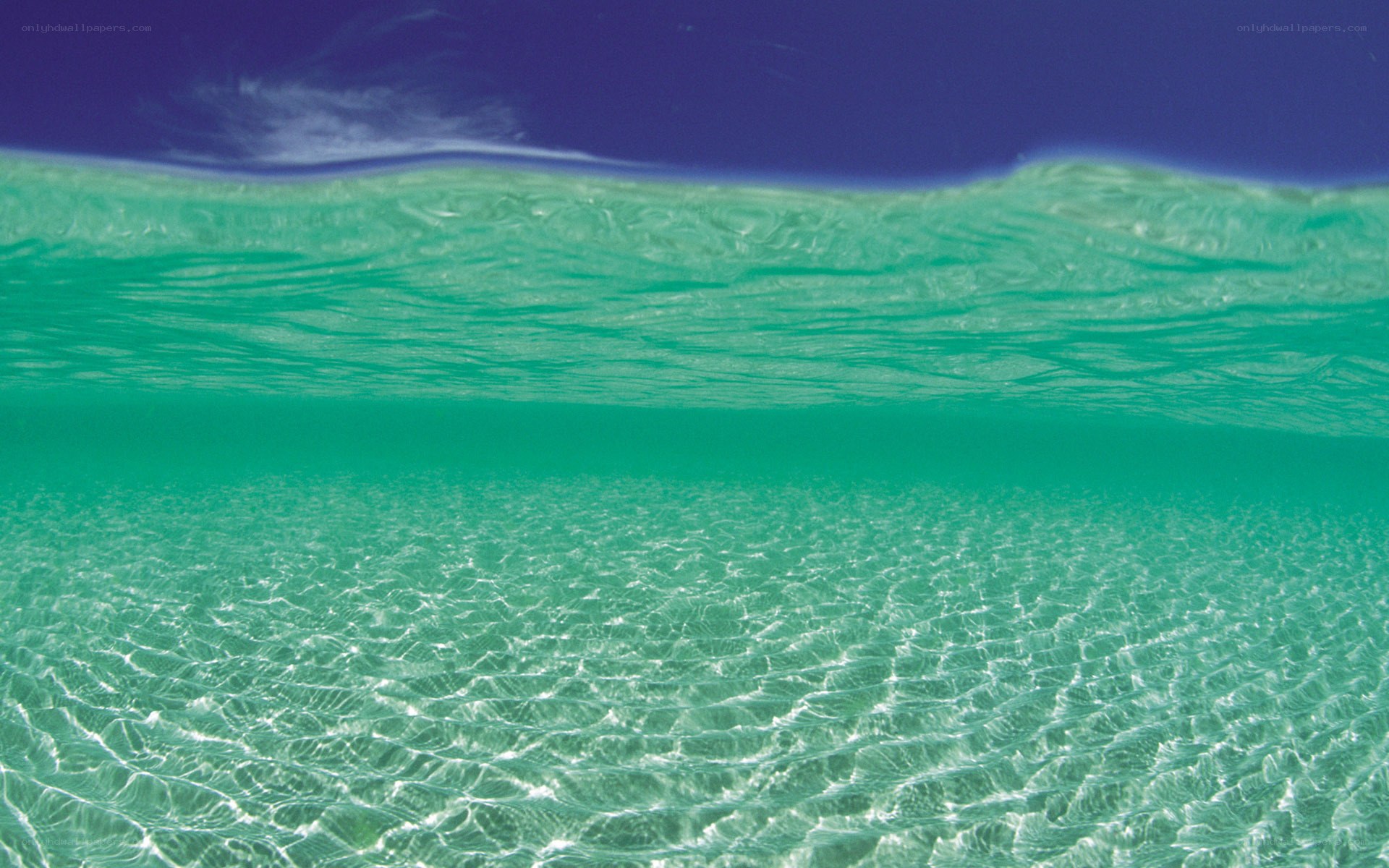Underwater view of ocean surface