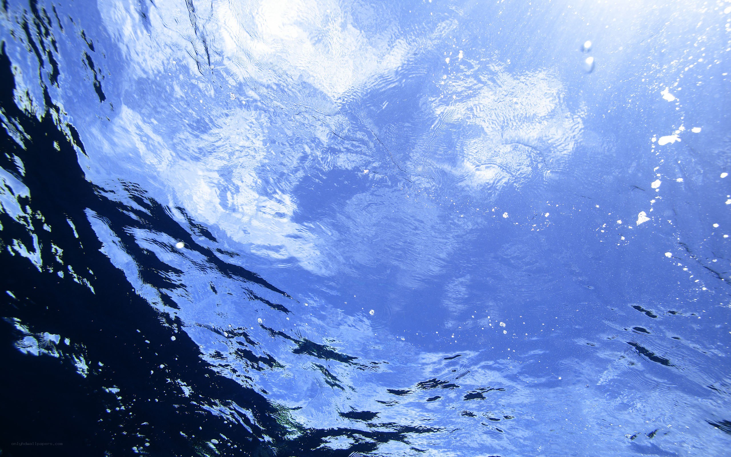 Underwater view of ocean surface