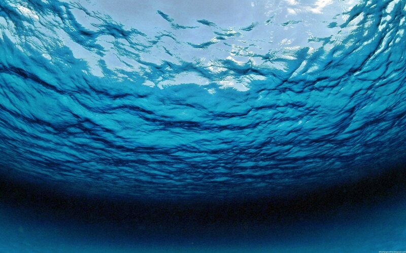 underwater view of ocean surface