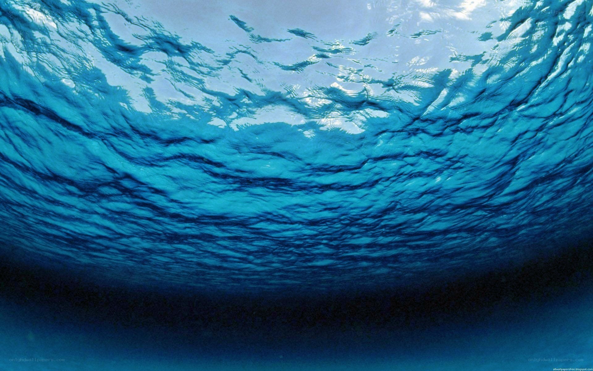 underwater view of ocean surface