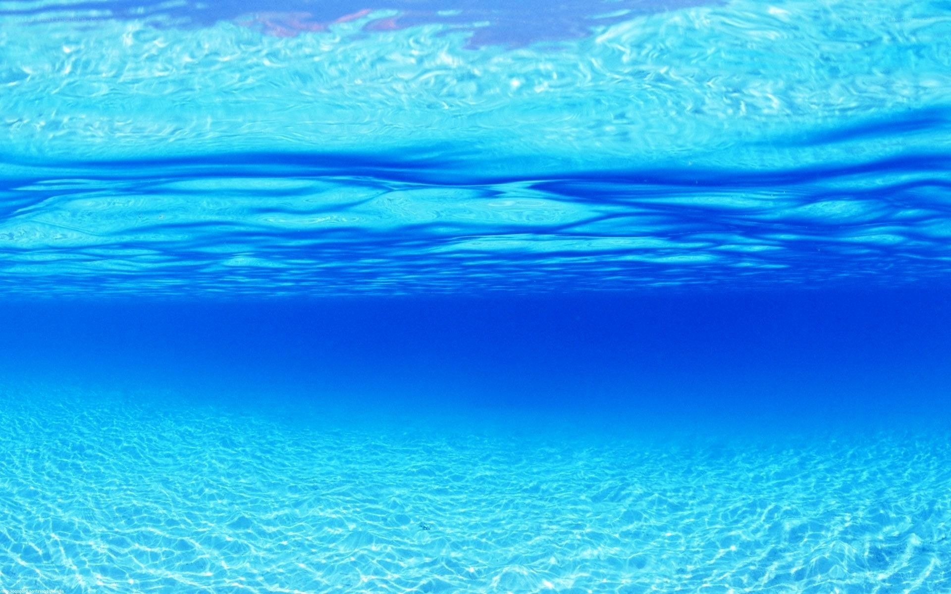 underwater view of ocean surface