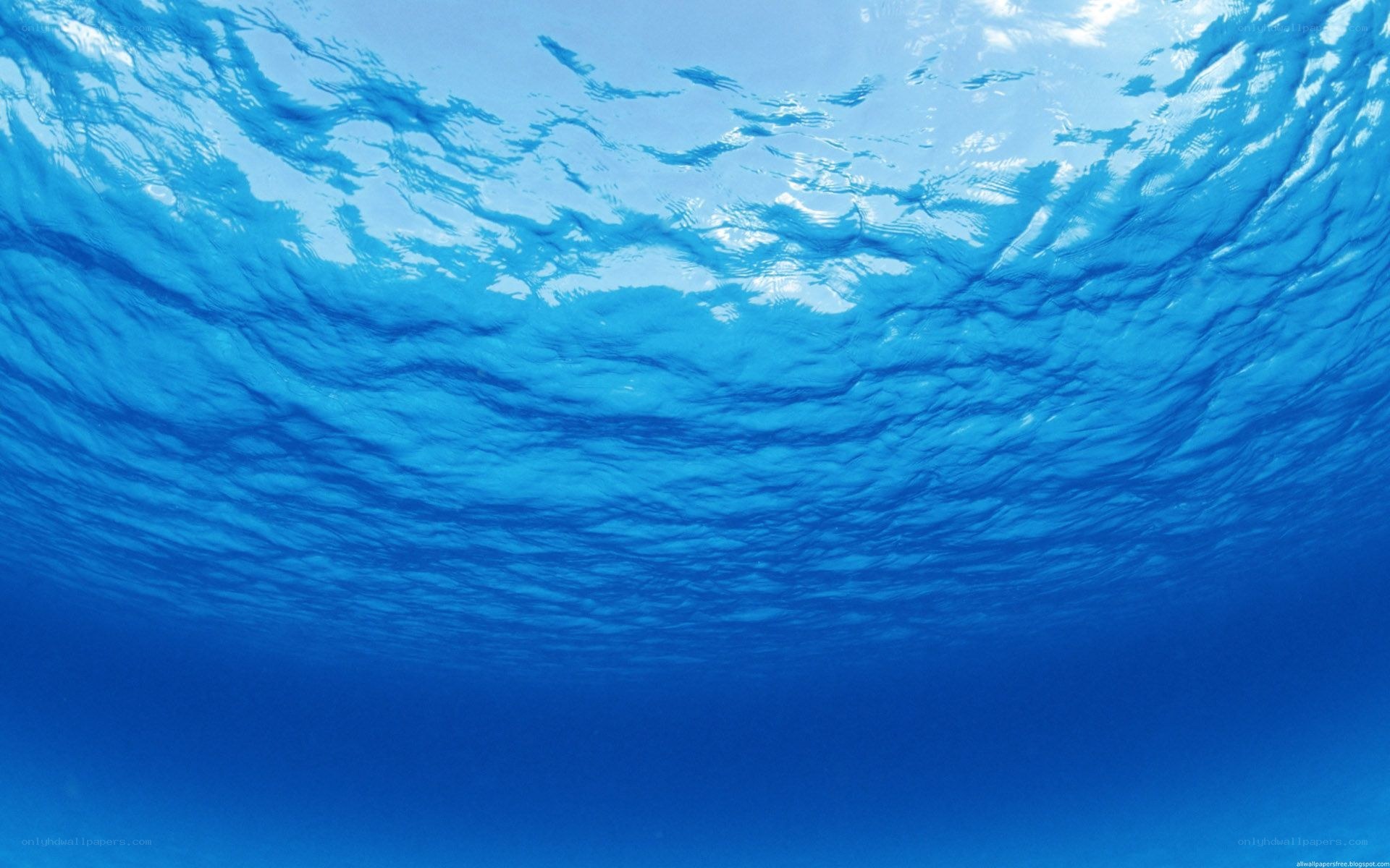 underwater view of ocean surface