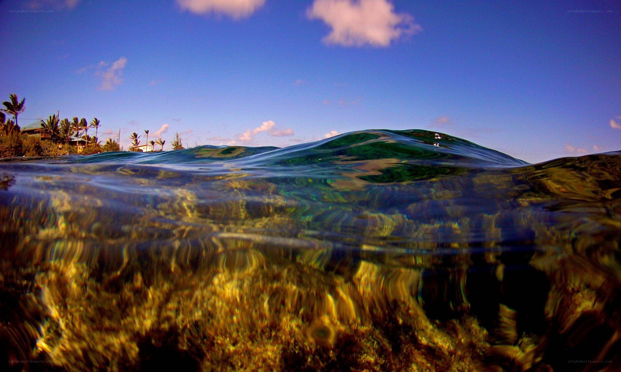 Underwater view of ocean wave