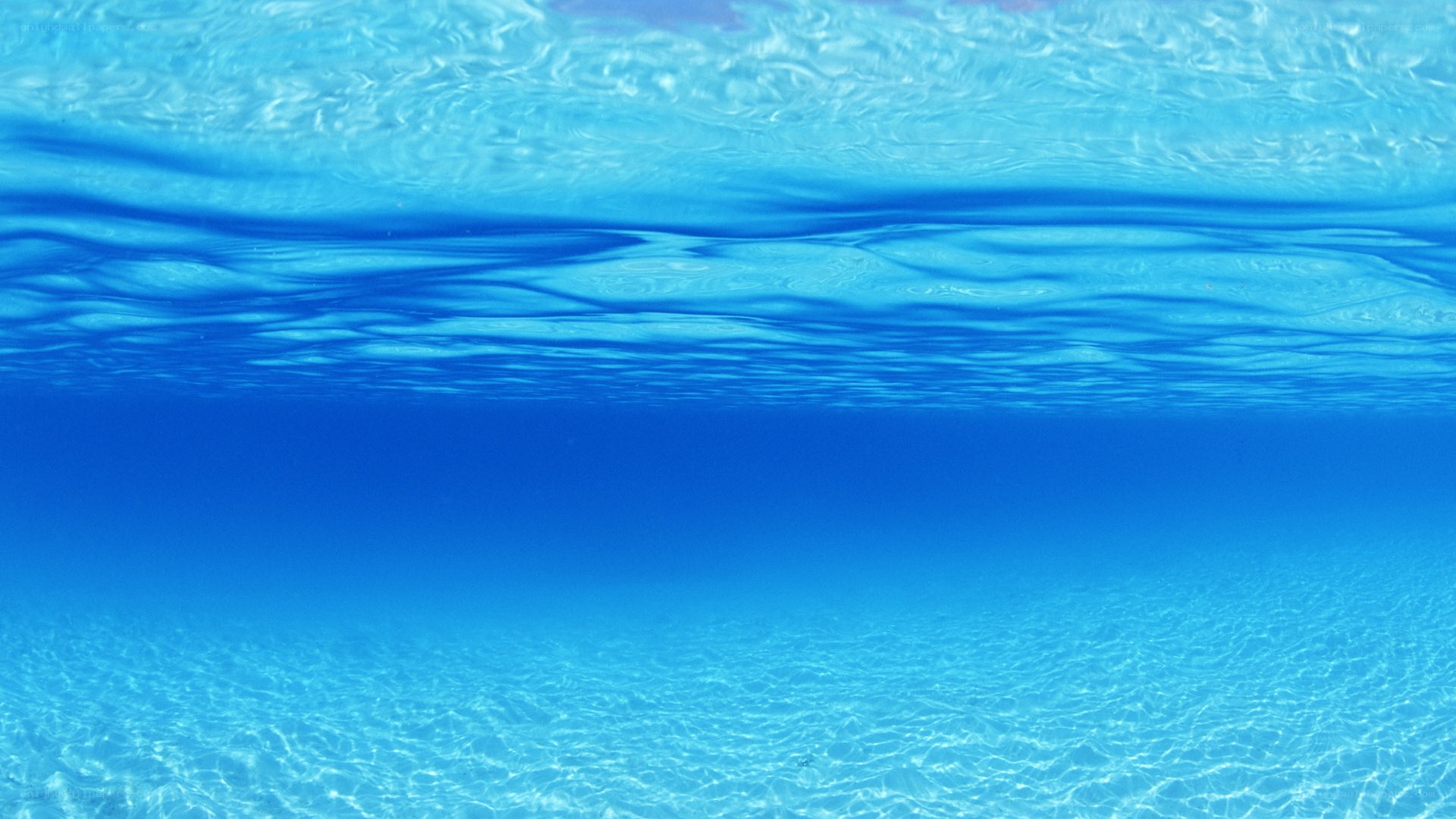 underwater view of ocean