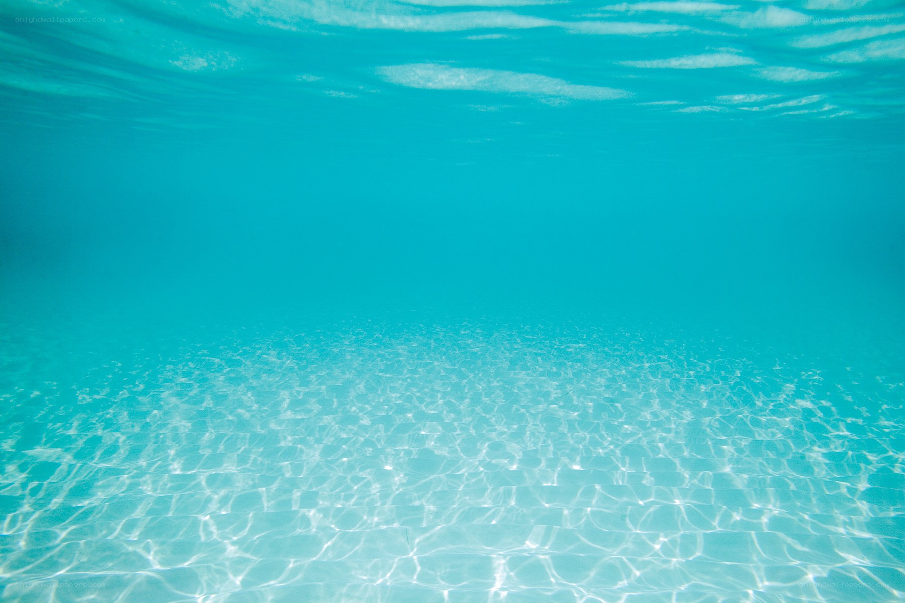 underwater view of pool