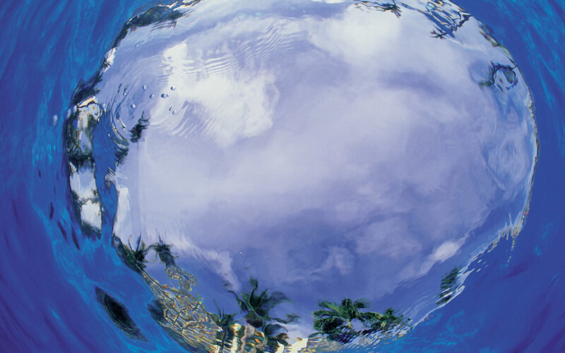 underwater view of sky and palm trees