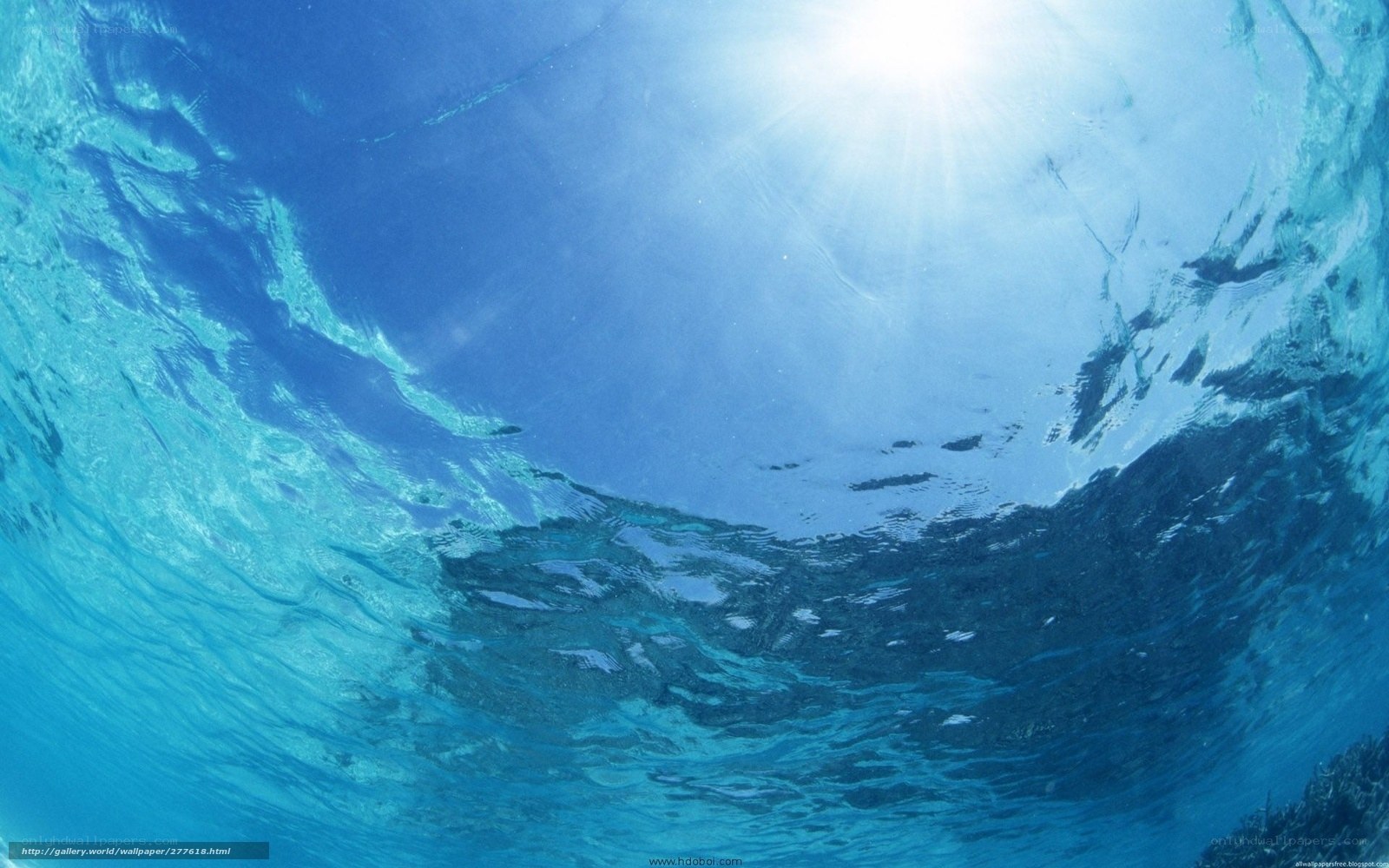 Underwater view of sunlit ocean