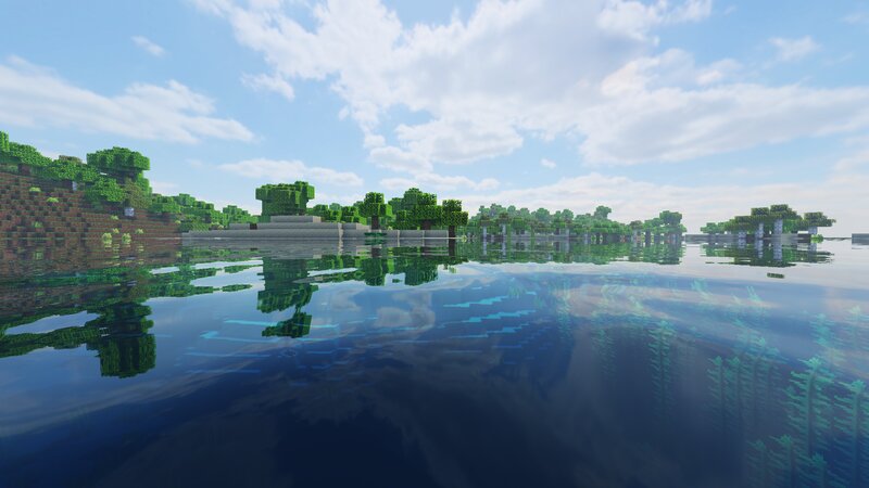 Underwater View of Trees