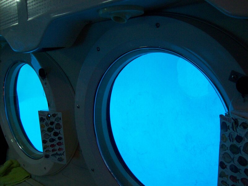 Underwater Viewing Windows