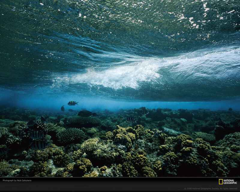 Underwater wave over coral reef