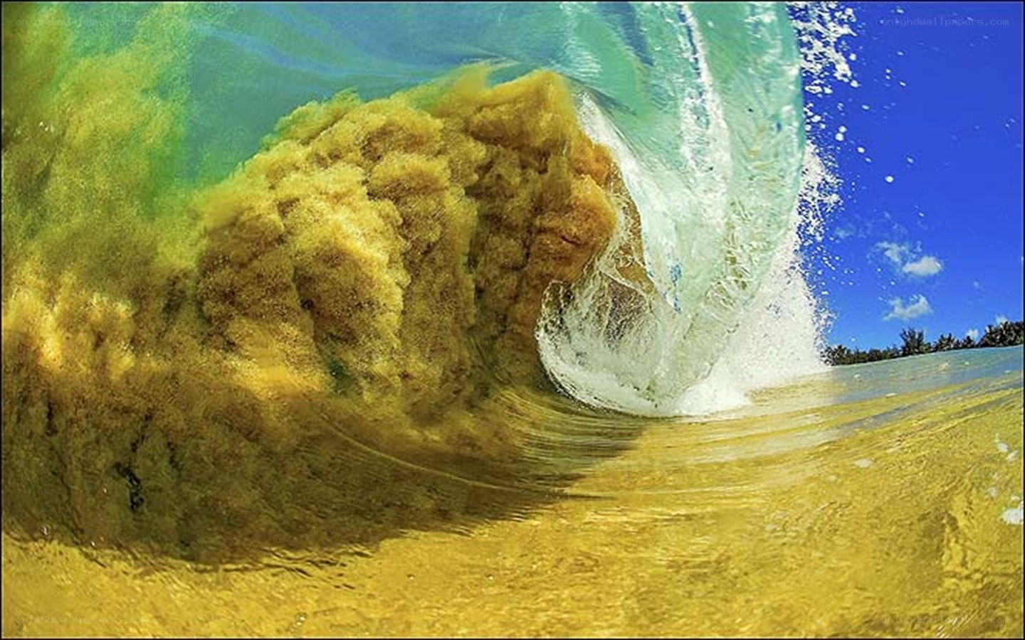 Underwater wave with algae