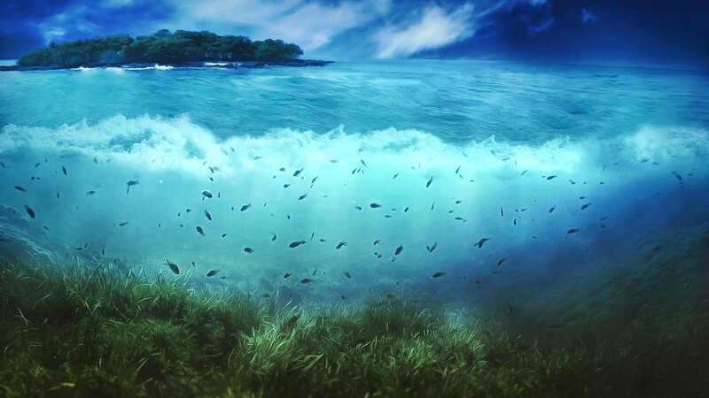 Underwater Wave with Fish