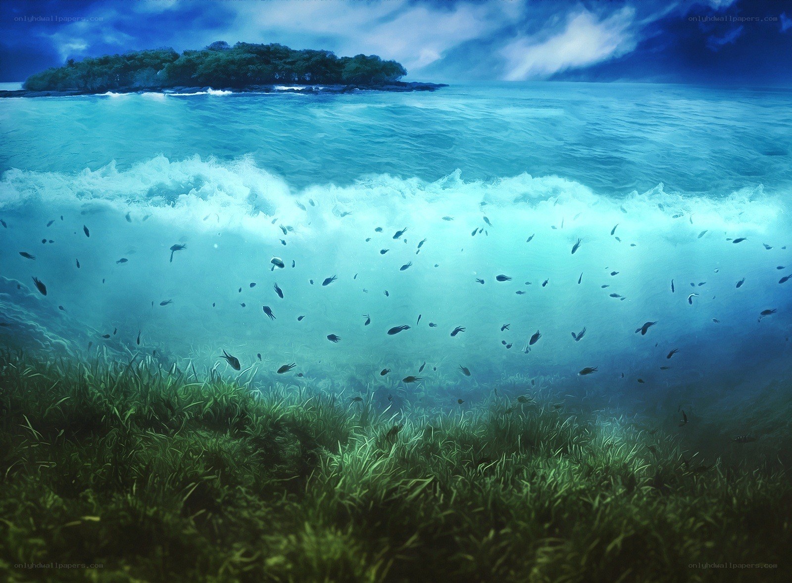 Underwater wave with island view