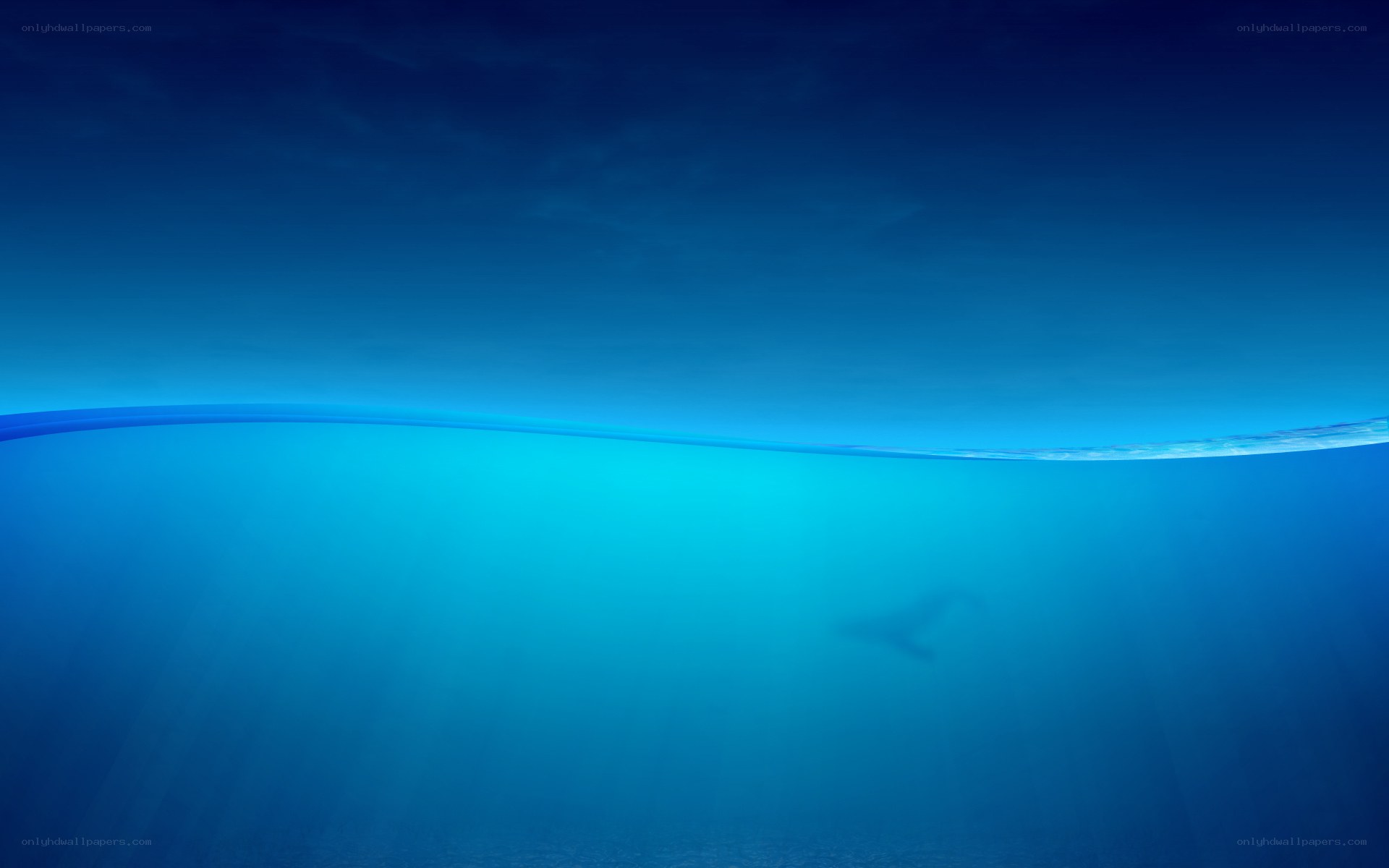 Underwater whale scene