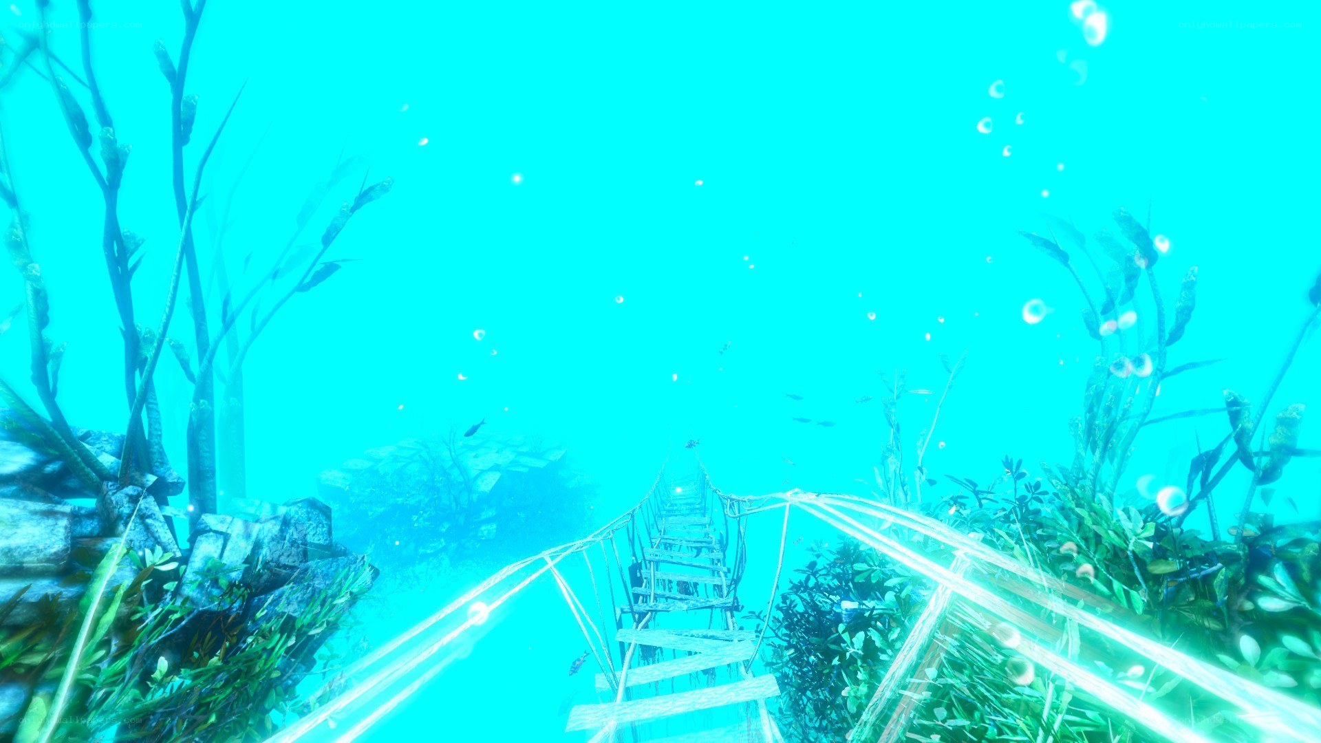 underwater wooden bridge