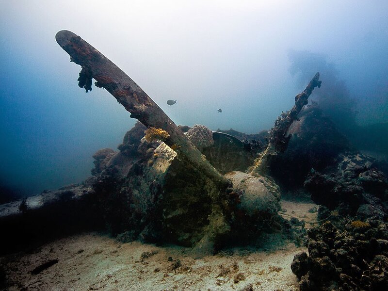 Underwater wreck of a plane