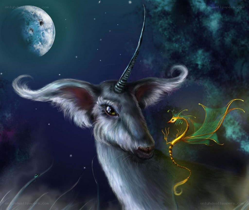 Unicorn and dragon under moonlight