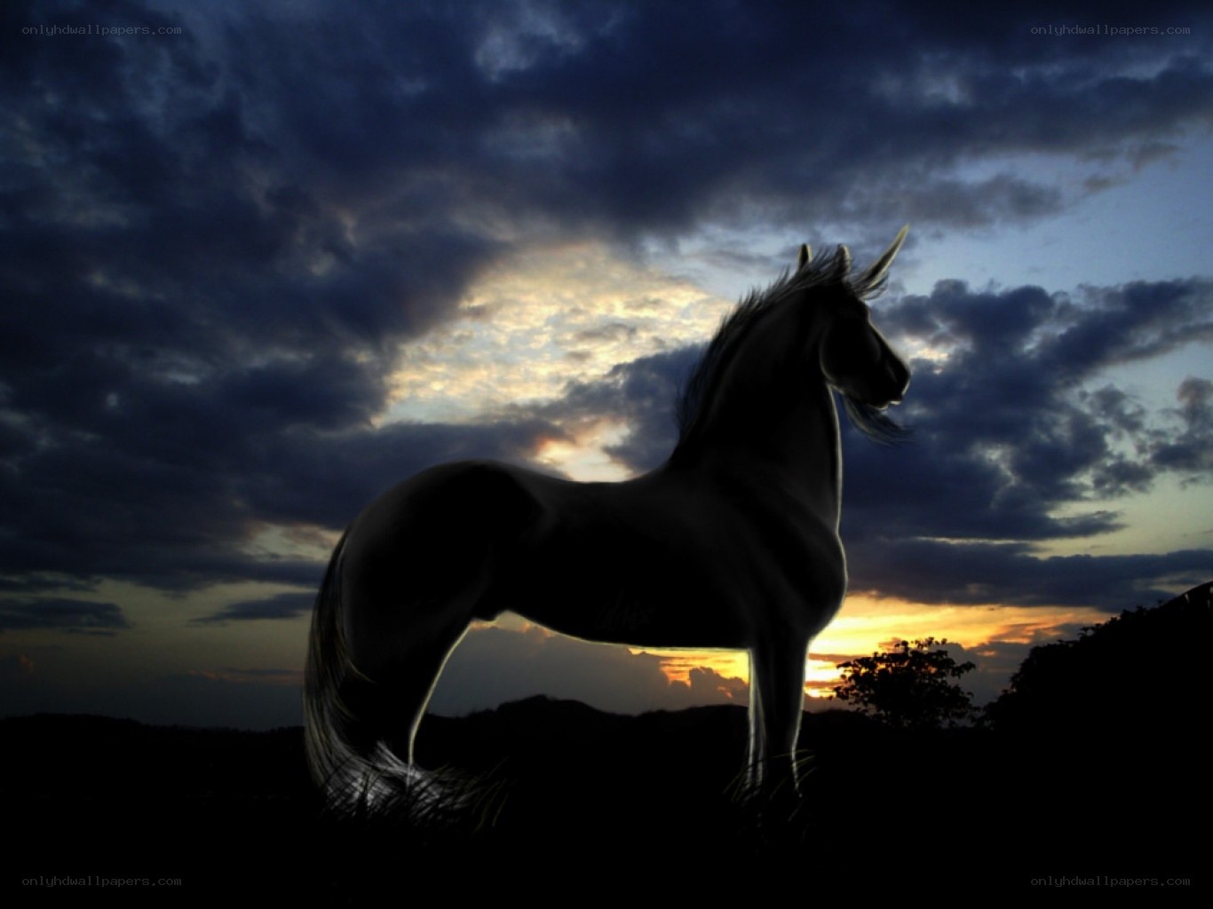 Unicorn at sunset silhouette