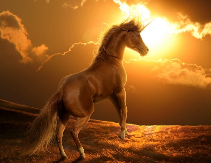 Unicorn at Sunset
