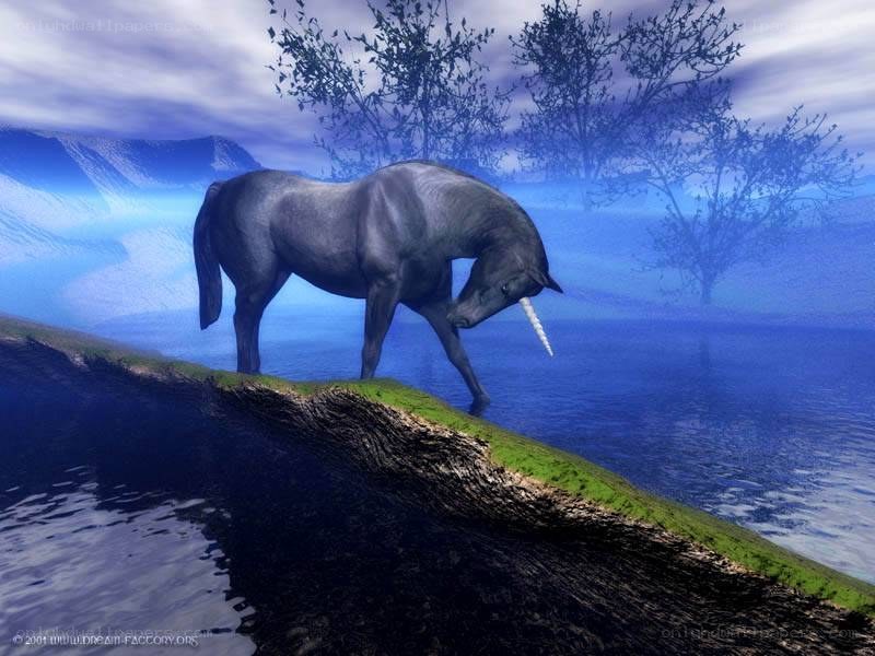 Unicorn by the water