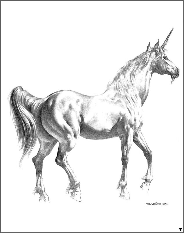 unicorn drawing by boris