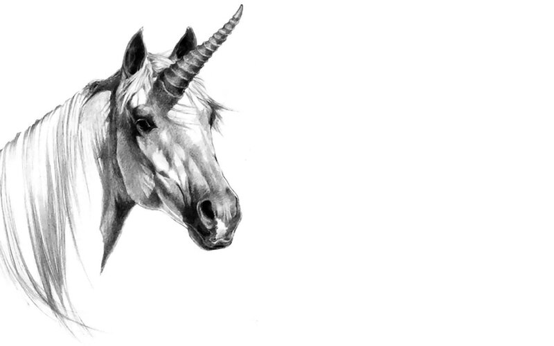 Unicorn Head Drawing